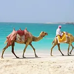 Lovely Studio In Dubai Marina Near Beach And Metro Z417